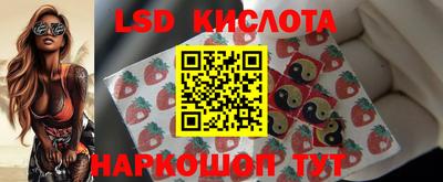 крисы Шахты