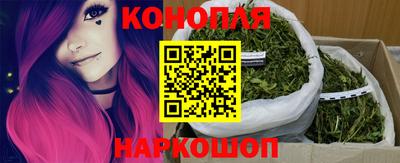 прущие крисы Шелехов