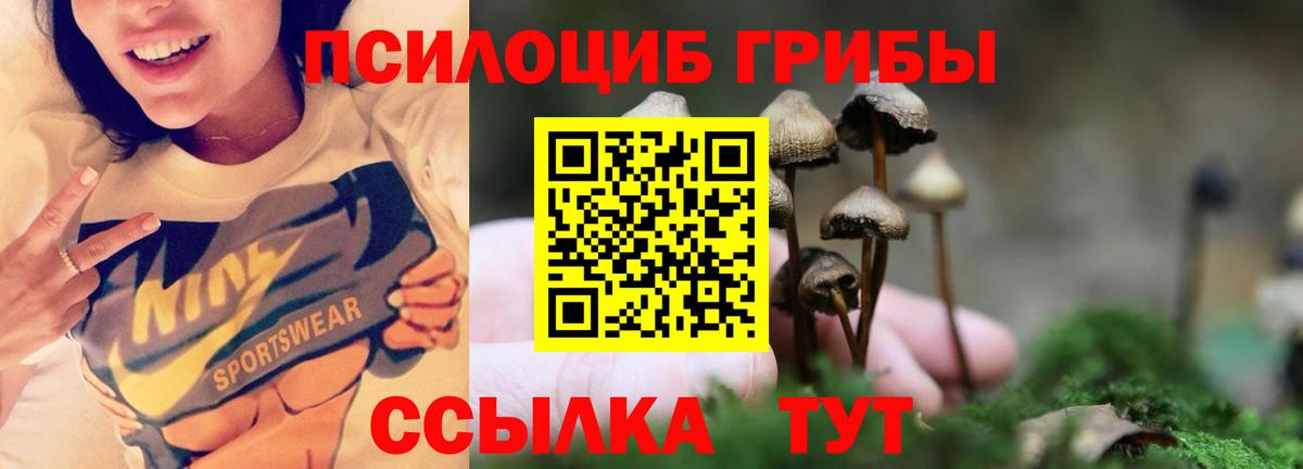 Петрозаводск  Галлюциногенные грибы мухоморы  как найти закладки  Вход с VPN  Галлюциногенные грибы мухоморы 